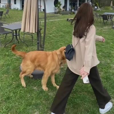 爱狱王子